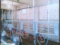 FB_IMG_1579692096050 FB_IMG_1579692096050