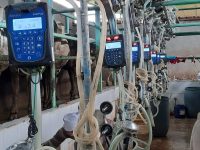 IMG-20200118-WA0006 IMG-20200118-WA0006