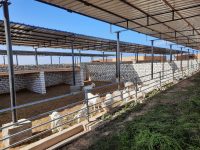 IMG-20200131-WA0012 IMG-20200131-WA0012