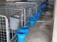 IMG-20200326-WA0004 IMG-20200326-WA0004