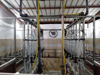 IMG20190908185843 IMG20190908185843