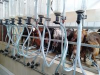 WhatsApp Image 2019-09-09 at 23.27.39 (1) WhatsApp Image 2019-09-09 at 23.27.39 (1)