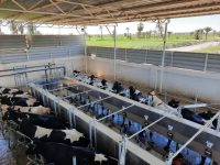 WhatsApp Image 2020-05-10 at 17.44.25 WhatsApp Image 2020-05-10 at 17.44.25