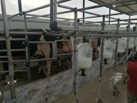 WhatsApp Image 2020-06-14 at 22.22.19 WhatsApp Image 2020-06-14 at 22.22.19