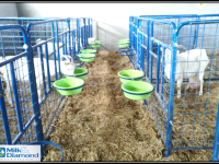 etpigjtoger etpigjtoger